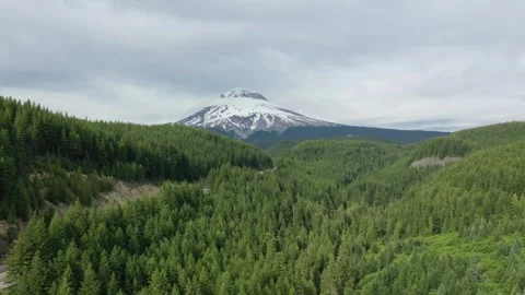 Aerial Drone view of dense forest with the white capped peaks of Mount Hood Stock Footage 312531704