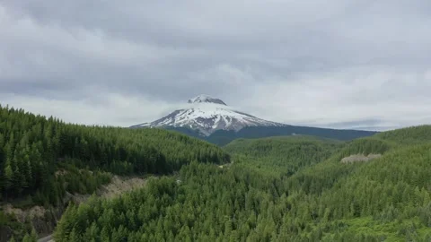 Aerial Drone view of dense forest looking up to Mount Hood Stock Footage 312531720