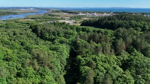 Aerial drone view of dense green woodland with an industrial site beyond Video stock 335535411
