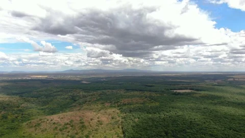 Aerial Drone View of Dense Green Forests and Hills with Dramatic Clouds 動画素材 337242005