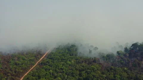 Aerial drone view of dense wildfire smoke spreading over the southern Amazon Stock Footage 340295346