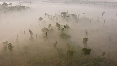 Aerial drone view of dense wildfire smoke covering the southern Amazon Stock Footage 340335878