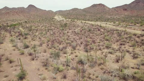 Aerial Drone View of Desert Road in Baja California Sur, Mexico Stock Footage 340429309