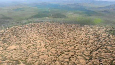 Aerial drone view of desert sand dunes, natural vegetation plus mixed plants Stock-Footage 339834270