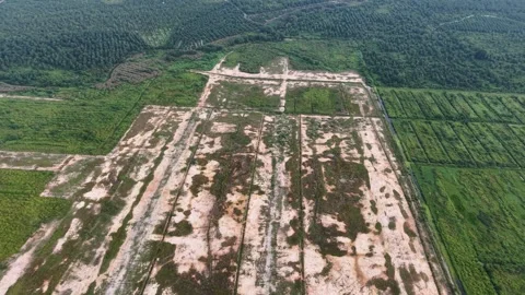 Aerial drone view of development land at Batu Kawan 動画素材 329240080