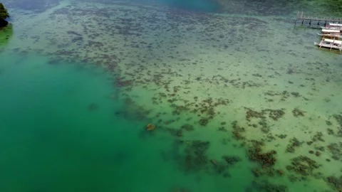 Aerial drone view dolly forward before pitching to reveal the coral formations 스톡 동영상 330983547