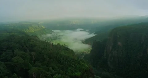 Aerial drone view of dramatic cliff covered in thick fog and mountain landscape 스톡 동영상 333407706