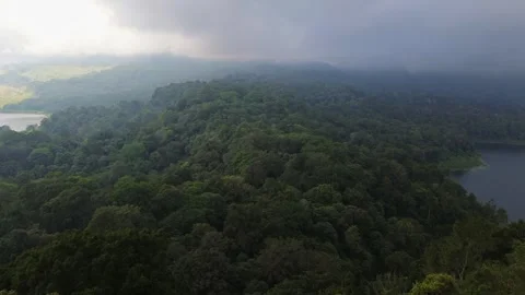 Aerial drone view - dramatic sunlight and shadows passing over rainforest Stock Footage 343143765
