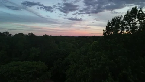 Aerial drone view of dramatic sunset over lush green forest horizon Stock Footage 336516278