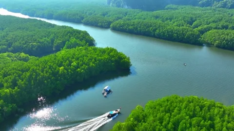 Aerial drone view of eco-friendly travel by long-tail boat. Video stock 332826378