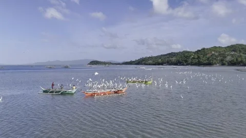 Aerial drone view of Egrets feeding beside fishermen cleaning nets in shallow 動画素材 342806596