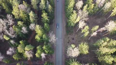 Aerial drone view of empty countryside road with slowly passes vehicles on it Stock Footage 149054833