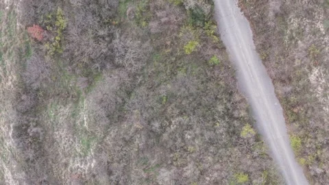 Aerial drone view of empty forest road during autumn season Stock Footage 321388516