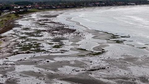 Aerial drone view of exposed tidal flats and winding shoreline patterns along Stock Footage 337790812