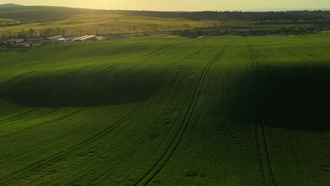 Aerial drone view of extensive green rolling farmland with farm buildings and Stock Footage 336615414