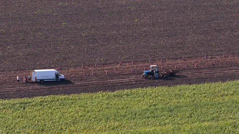 Aerial drone view of Farm workers loading harvested potatoes into a white van Stock Footage 345494405