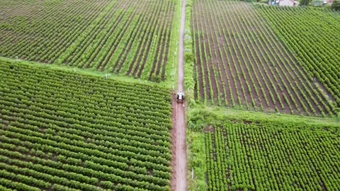 Aerial Drone View of Farmer Driving Tractor Through Agricultural Fields Stock Footage 340148349