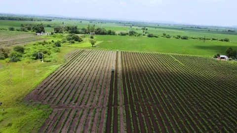 Aerial Drone View of Farmer Driving Tractor Through Agricultural Fields Stock Footage 340148350