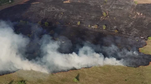 Aerial drone view of fire or wildfire in forest with huge smoke clouds, burning Stock Footage 139718070