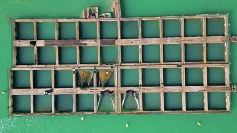Aerial drone view of fish farm Stock Footage 232803003