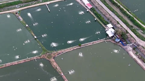 Aerial drone view of fish farm ponds Sungai Udang Nibong Tebal Stock Footage 337984673