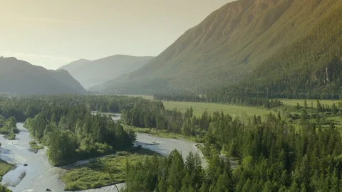 Aerial Drone View: Flight over pine tree forest and mountain river in dawn soft Видео 120405866