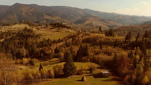 Aerial Drone View: Flight over pine, spruce and deciduous tree forest in Stock Footage 121756293