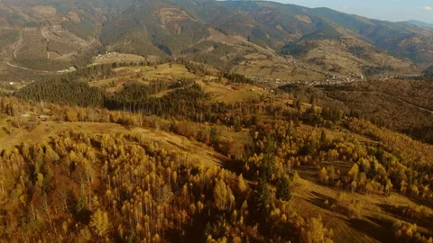 Aerial Drone View: Flight over pine, spruce and deciduous tree forest in Stock Footage 121757332