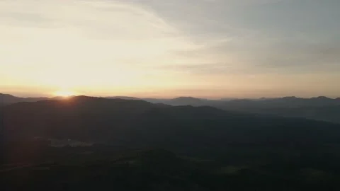 Aerial Drone View: Flight over pine tree forest and country road in sunset soft Stock Footage 140274442