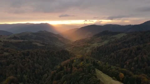 Aerial Drone View Flight over the beautiful autumn Carpathian mountains Stock Footage 144546068