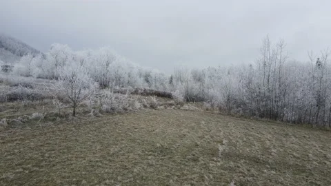 Aerial drone view of flight over frozen grass and mountains Stock Footage 145202230