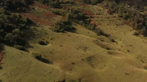 Aerial Drone View Flight over tree forest Stock Footage 146222715