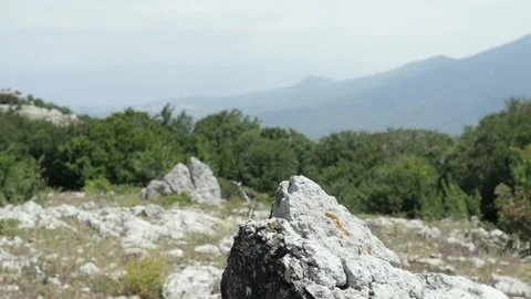 Aerial Drone View Flight over pine tree forest in Mountain at sunset. Stock-Footage 149685599