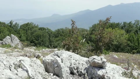 Aerial Drone View Flight over pine tree forest in Mountain at sunset. Stock-Footage 149763169