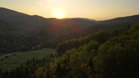 Aerial Drone View Flight over pine tree forest in Mountain at sunset Stock Footage 159328014