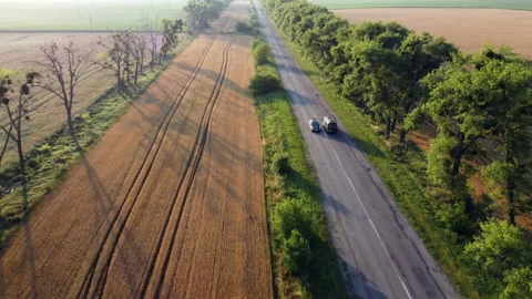 Aerial drone view flight over highway wheat field and green trees at sunset dawn Stock Footage 159567744
