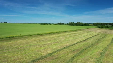 Aerial drone view flight over different agricultural fields. Green farmland Stock Footage 171773426