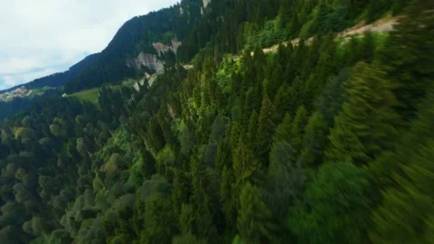 Aerial Drone View Flight over pine tree forest in Mountain. FPV drone Stock Footage 200188436