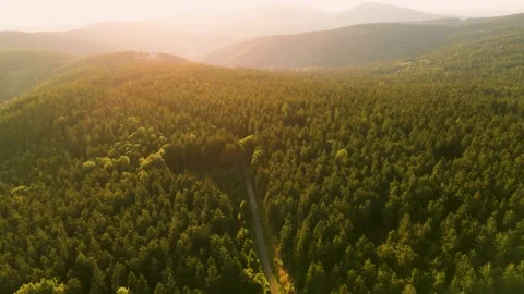 Aerial Drone View Flight Over Forest In Mountains At Sunset Stock Footage 201160014