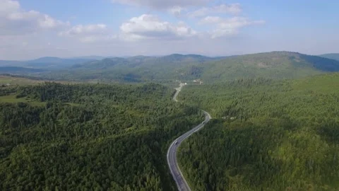 Aerial Drone View: Flight over pine tree forest and country road in sunny day Stock Footage 213599888