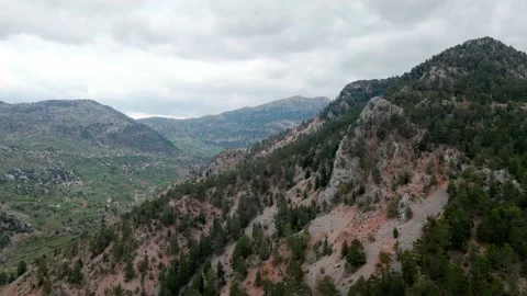 Aerial Drone View Flight over pine tree forest in Mountain 4k Stock Footage 213608072