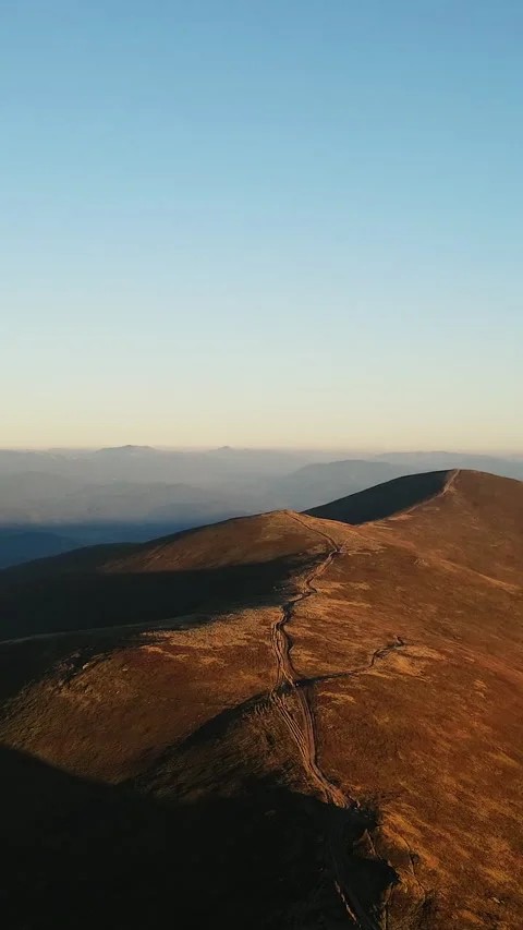 Aerial Drone View Flight over Mountain tree or spruce forest in Carpathian Stock Footage 303162742