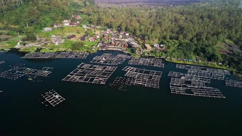Aerial Drone View of Floating Fish Farming Platforms on Calm Lake in Rural Stock Footage 328565270