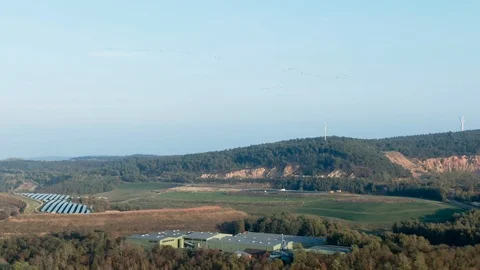 Aerial Drone View Flock of Migrating Birds in Nature Forest Woodland Landscape 스톡 동영상 118504740
