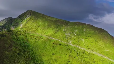 Aerial drone view of a flock of sheep Stock Footage 145157783