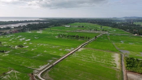 Aerial drone view of flooded paddy field near coastline Stock Footage 329366653