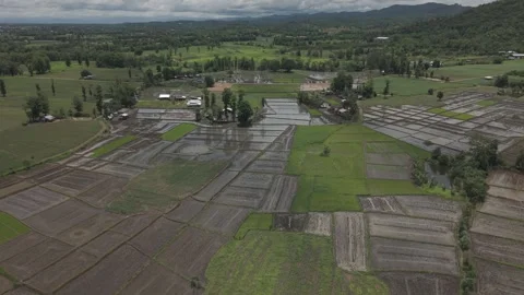 Aerial Drone View of Flooded Rice Paddies, Fish Ponds and Farmland Under Da.. Video stock 337014423