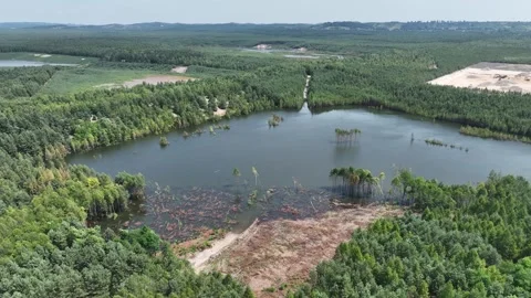 Aerial drone view of flooded sand pit. Forest submerged in a lake. Sunken s.. Video stock 310163663