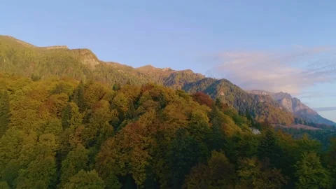Aerial Drone View. Fly over autumn mountain  forest in sunrise soft light. Stock Footage 150663632