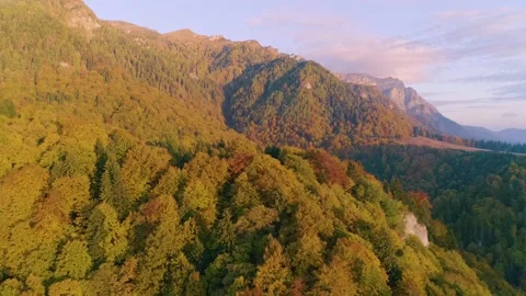 Aerial Drone View. Fly over autumn mountain  forest in sunrise soft light. Stock-Footage 150663739